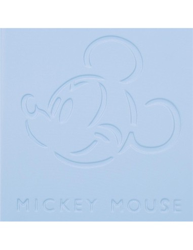 TROLLEY ABS MICKEY CRAZY