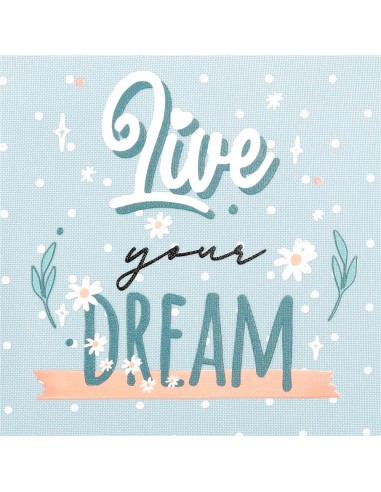 MOCHILA 46CM 2C. MOVOM LIVE YOUR DREAMS