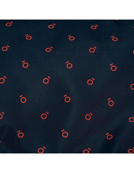 NECESER ADAP 2C. ENSO MONSTERS