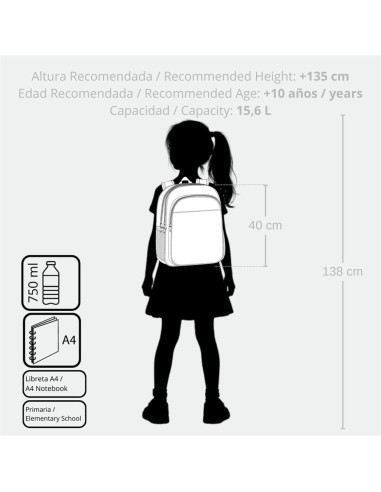 MOCHILA ADAP. 40CM 2C. FROZEN BELIEVE IN THE JOURNEY