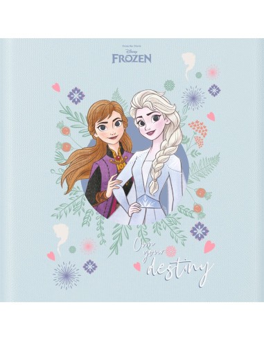 TROLLEY ABS 55CM. 4R. FROZEN OWN YOUR DESTINY